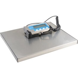 Portable Bench Scales