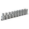 1/2in Drive M1210 External TORX Socket Clip Rail Set, 9 Piece TENM1210