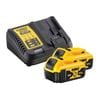 DCB184B2C XR Charger & Battery Set 18V 2 x 5.0AH Li-Ion