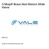 1/4bspP Brass Non Return Slide Valve NRV4-SV
