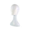 FaceGuard 2 Facemasks Earloops Ind Pack - Pack of 20