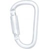 Stainless Steel Screw Locking Karabiner 22.5mm