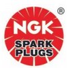 Spark Plug - R6061-105962