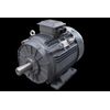37kw 2 Pole Cast Iron Motor 37.023TECCB3 IE3