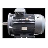 37kw 6 Pole Cast Iron Motor 37.063TECCB35 IE3