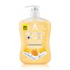 Protect + Care Anti Bacterial Handwash Milk & Honey 650ml