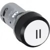 Pushbutton Momentary Flush 1NO Engraved 11 White Black BZL CP12