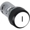 Pushbutton Momentary Flush 1NO Engraved I White Black BZL CP11
