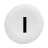 Cap Pln for Flush Mounted Pushbutton White/black Round Mrkd I