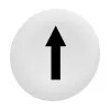 Cap Pln for Flush Mounted Pushbutton White/black Round Mrkd Ar