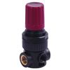 1/4in Regulator BSP Parallel Female - 039.00.00444