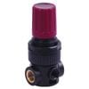1/4in Regulator BSP Parallel Female - 039.00.00441