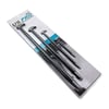 4 Piece Heel and Toe Pry Bar Set