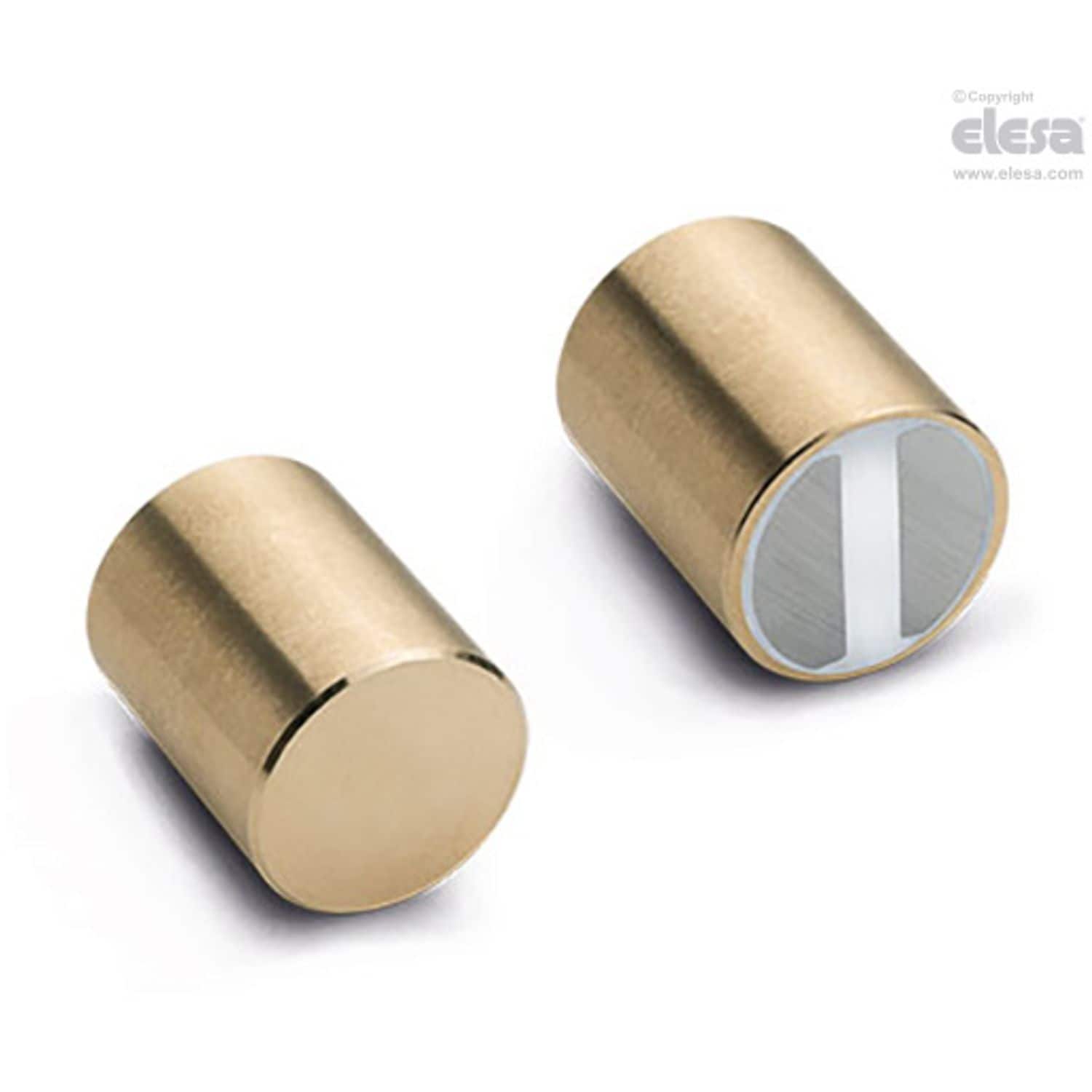 ELESA Retaining Magnet-RMM-SC-6