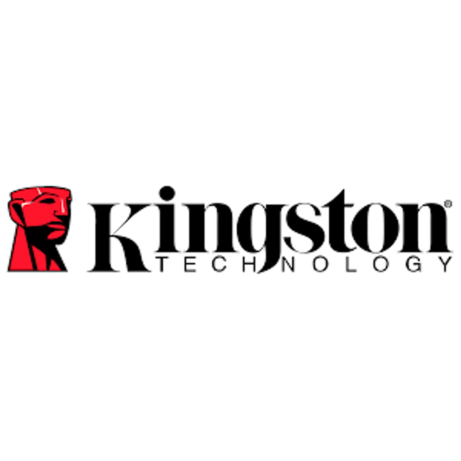Kingston IronKey Vault Privacy 50 Series - USB Flash Drive - Encrypted - 128 GB