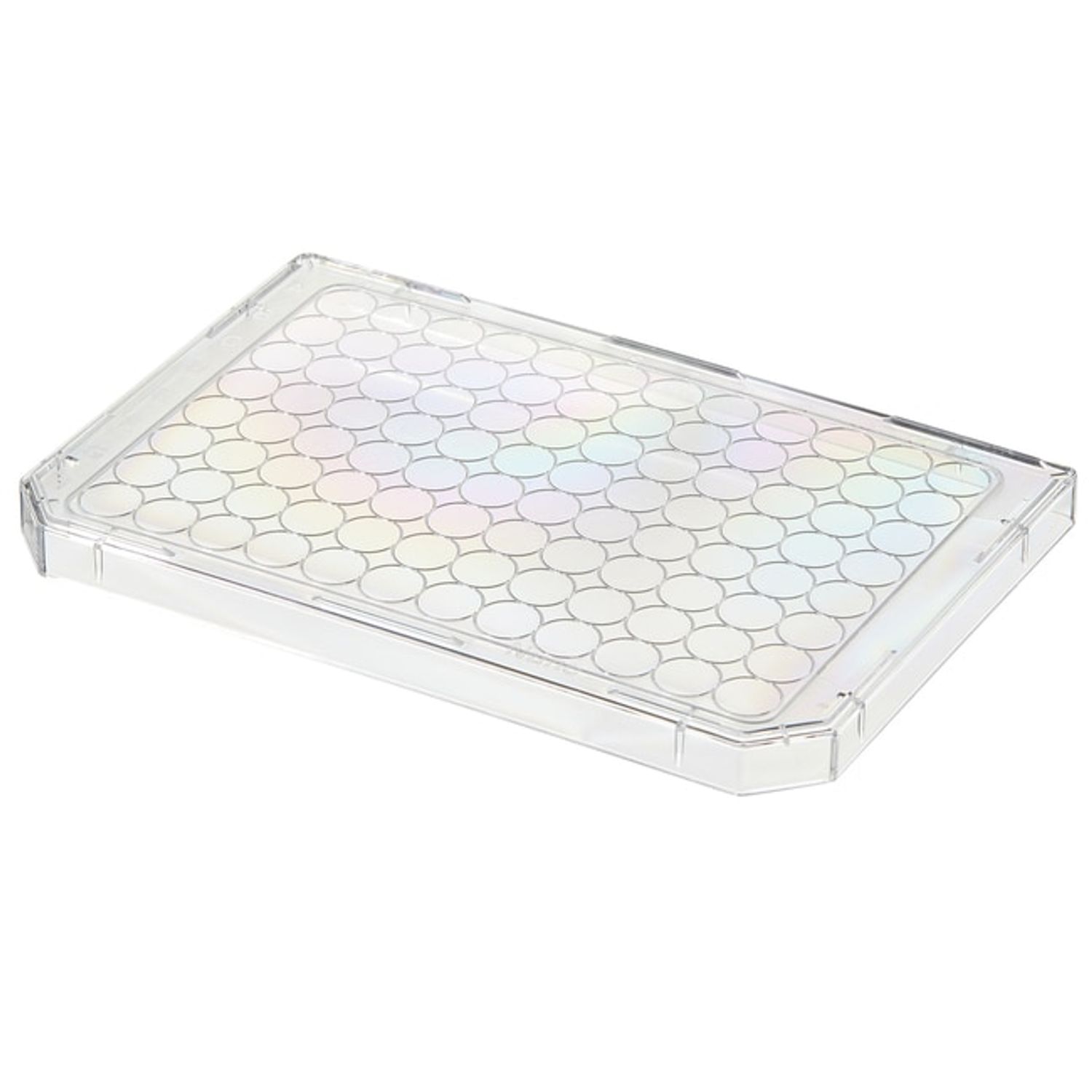 Thermo Scientific Well Plate Lid Pack of 100