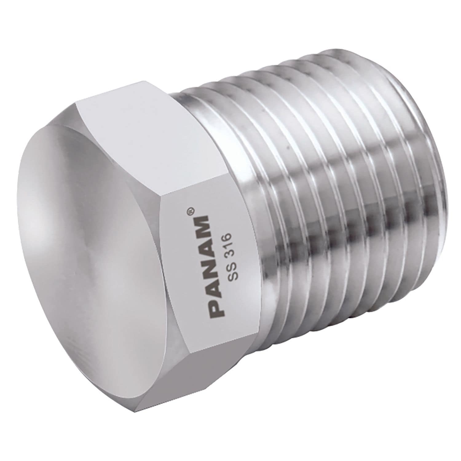 Panam 1/8in NPT Male 316 Pipe Plug - PP-02