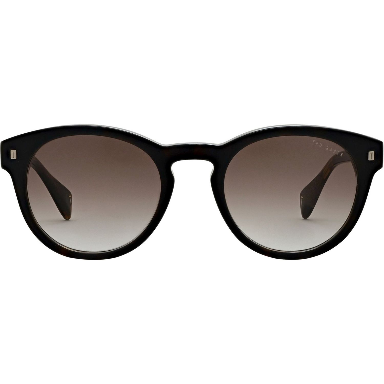 Ted Baker Dax Sunglasses Classic Tortoiseshell Male