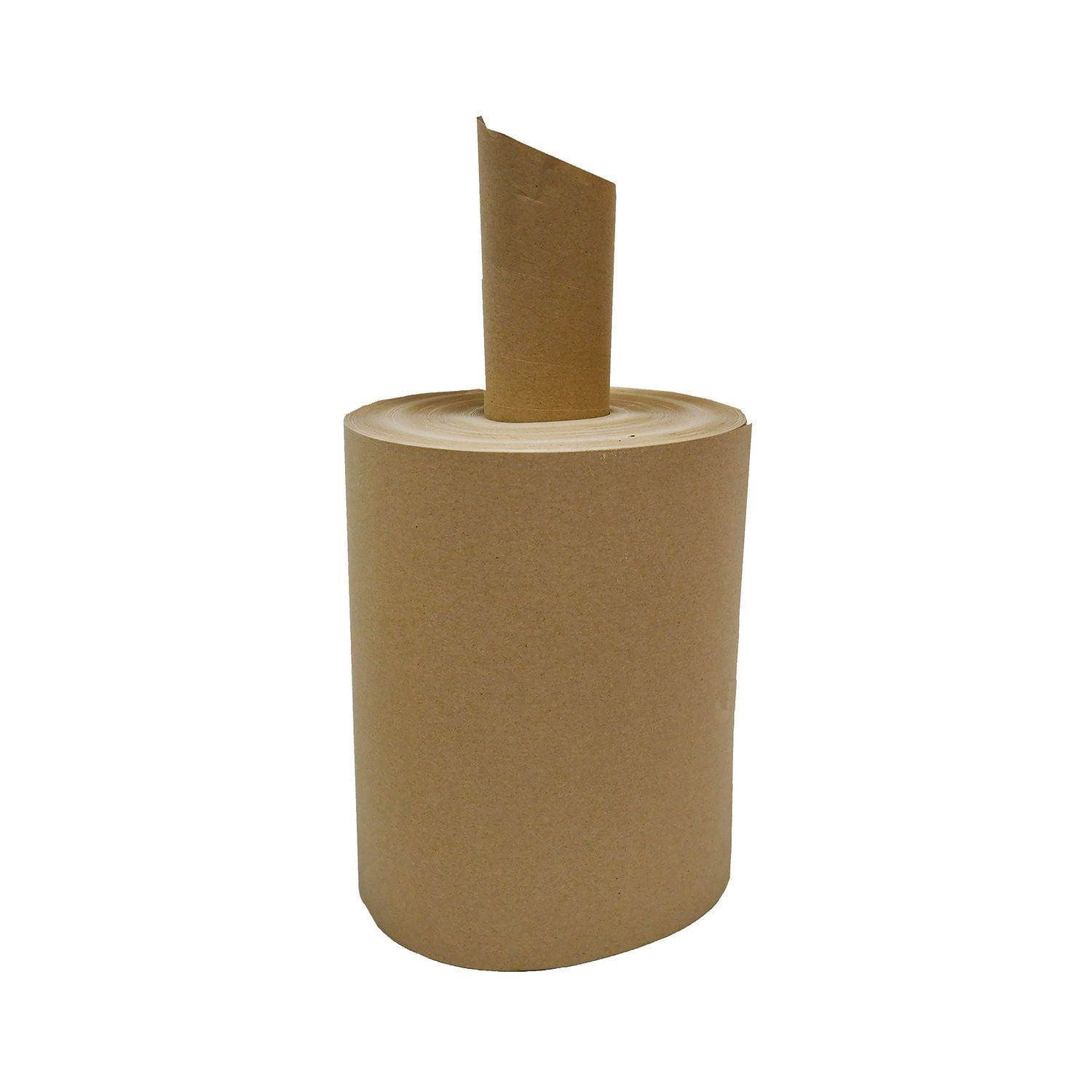 Recycled Paper Roll Unboxed 350mm x 450m 80gsm - TBH4DB