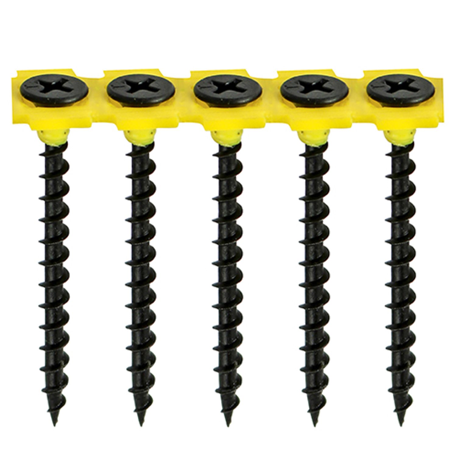 TIMCO Collated Drywall Screws PH Bugle Coarse Thread Black - 00032COL- you get 2