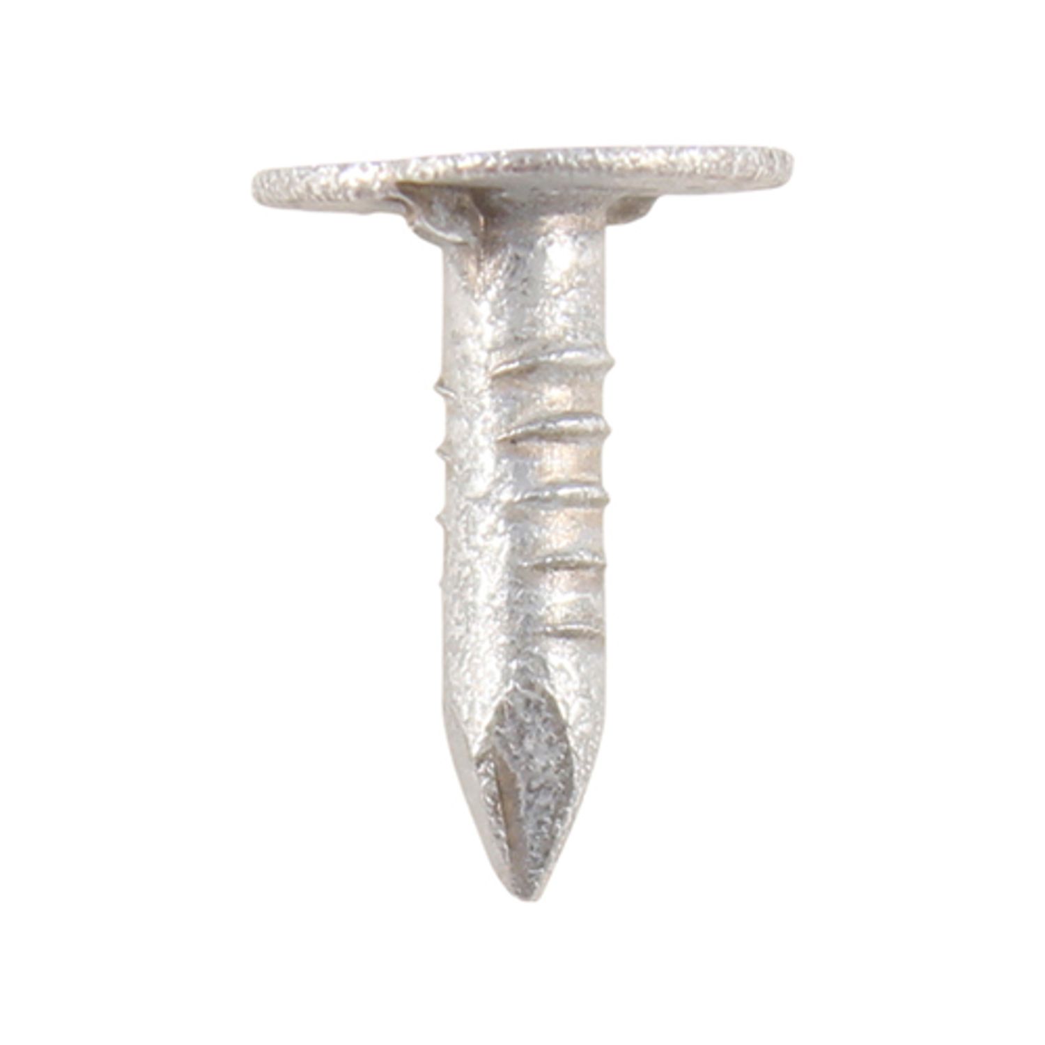 TIMCO Extra Large Head Clout Nails Galvanised - GEC20MB- you get 6