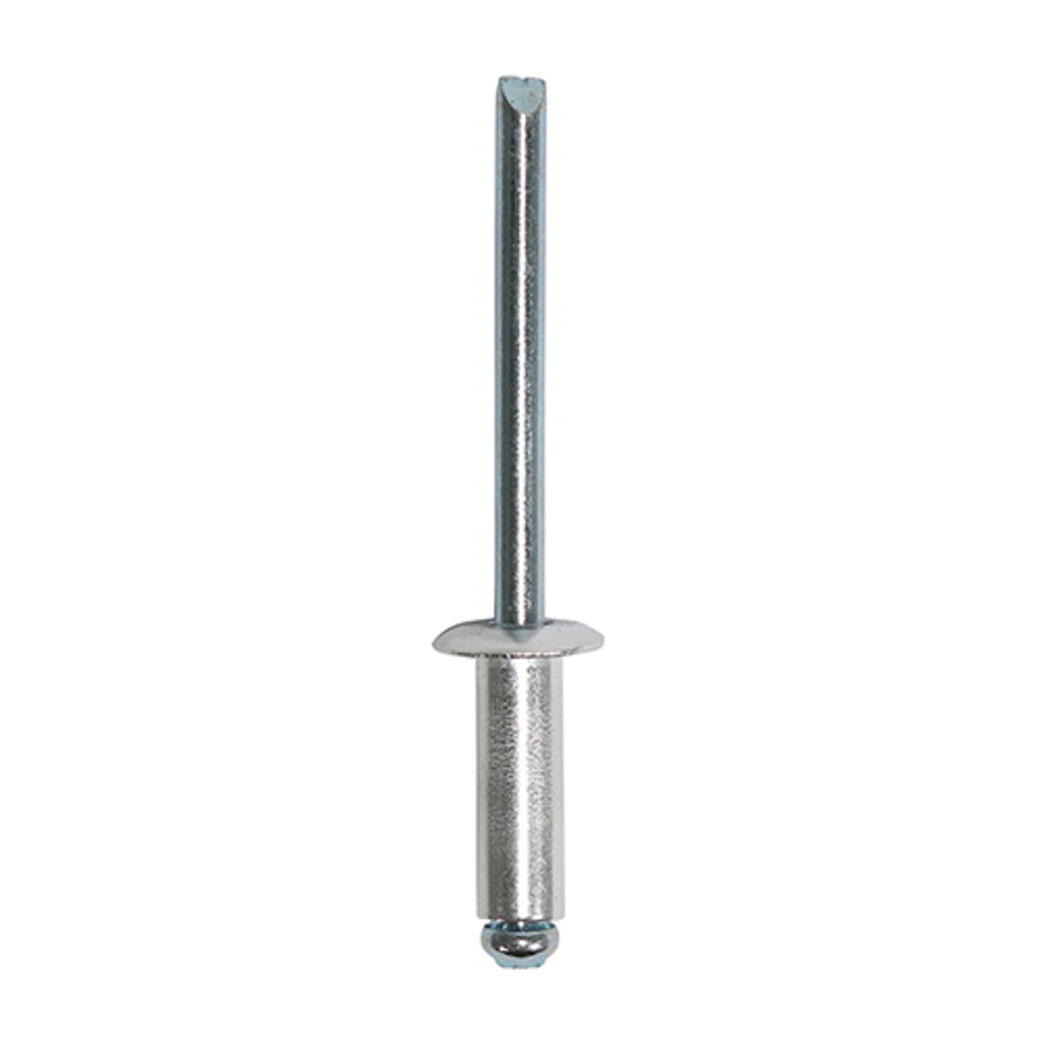 TIMCO Rivets Dome Head Aluminium - 748741P - Pack of 100- you get 8
