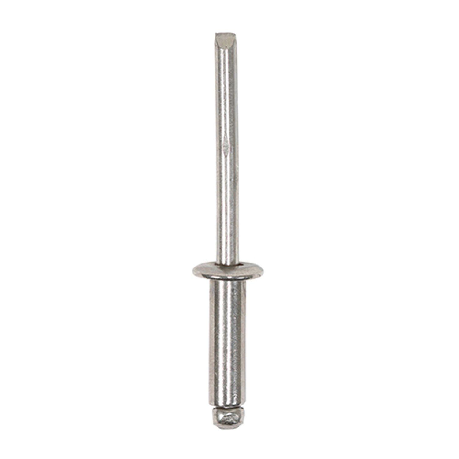 TIMCO Rivets Dome Head Stainless Steel - 748868P - Pack of 39- you get 4