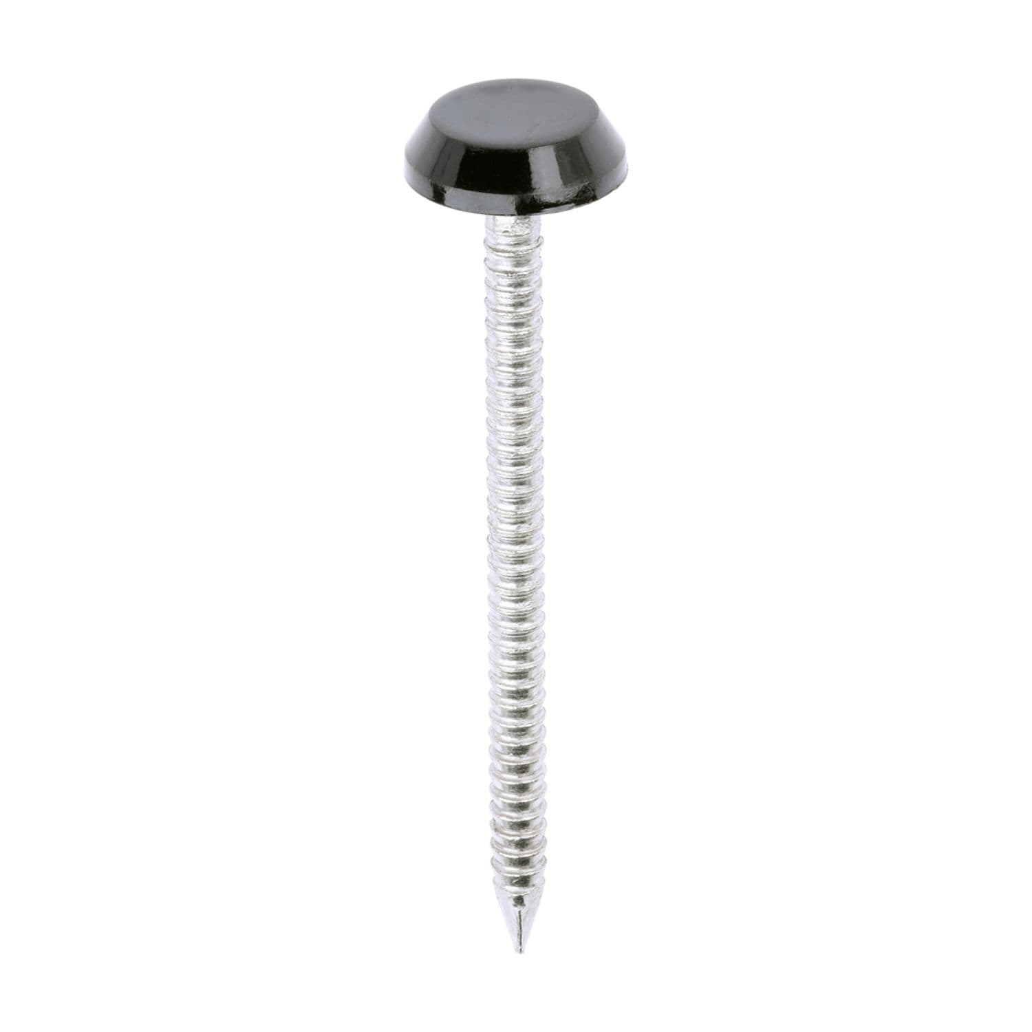 TIMCO Polymer Headed Nails A4 Stainless Steel Black - PN50BL - Pack o- you get 3