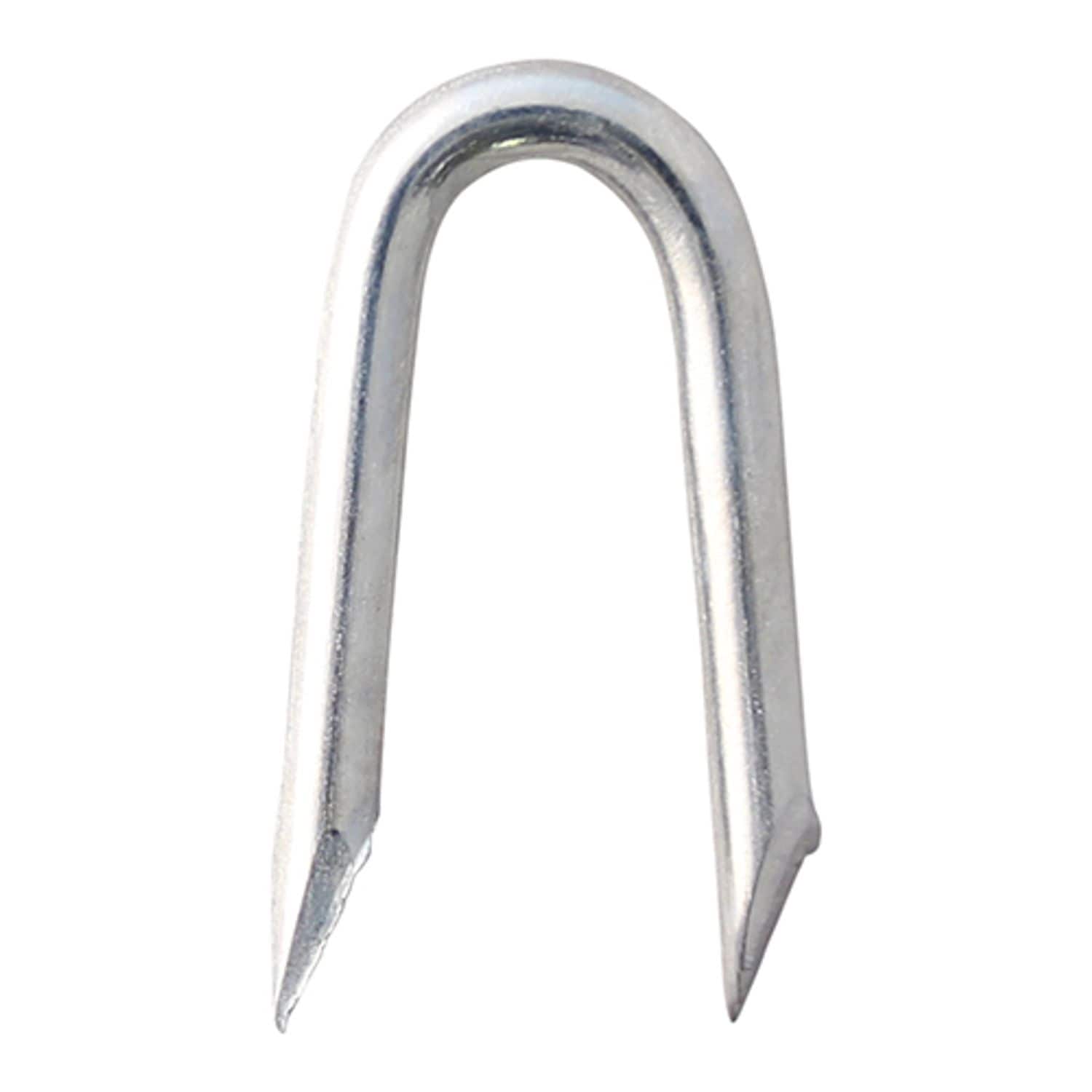 TIMCO Presser Point Staples Galvanised - PPS40T- you get 2