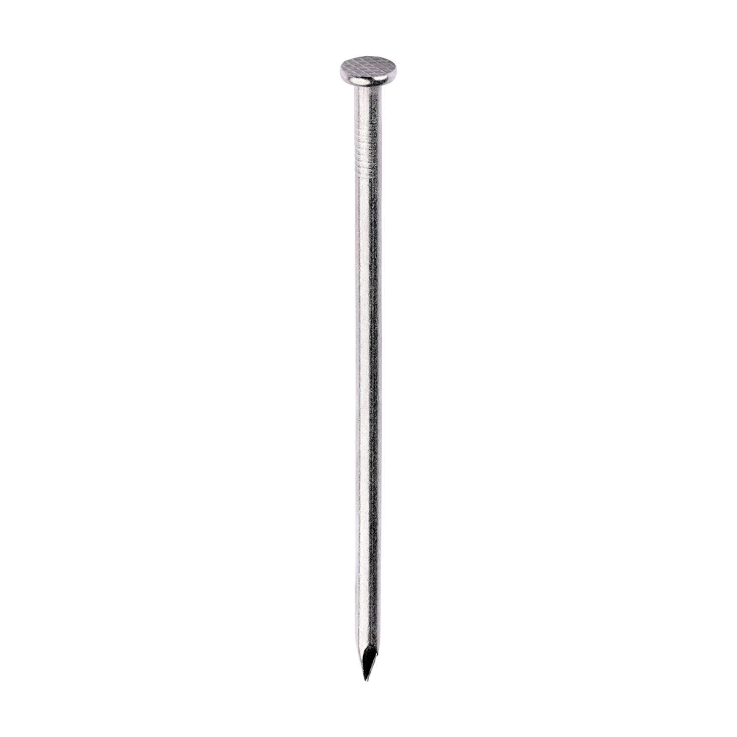 TIMCO Round Wire Nails Stainless Steel - SSRW100B- you get 2