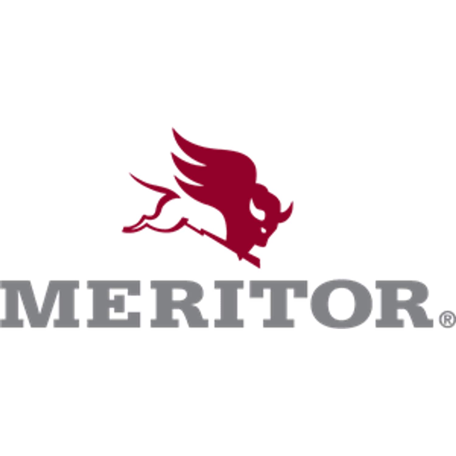 Meritor Hvs Retaining Washer