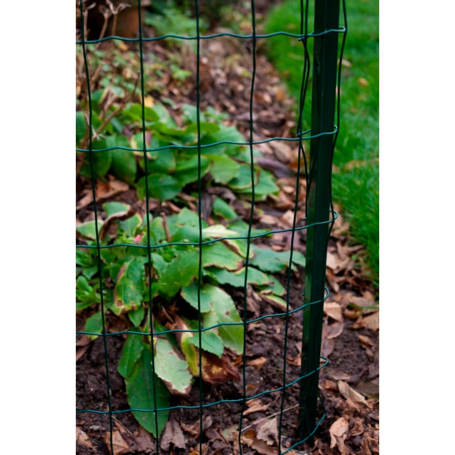 Apollo Fencing Stakes 1.5m