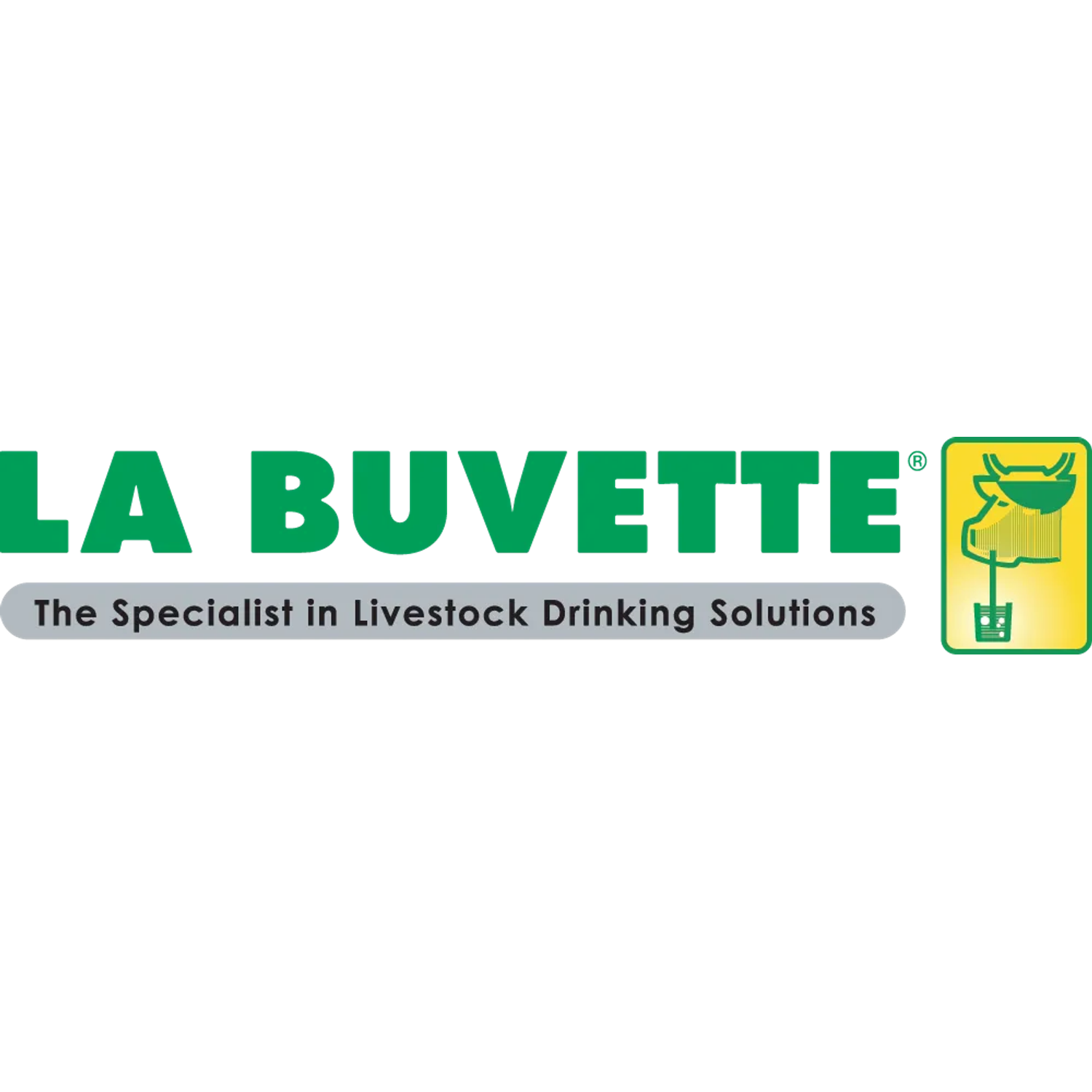 La Buvette Trough With Galvanised Frame For Lukewarm Water After Milking Pe 63Cm
