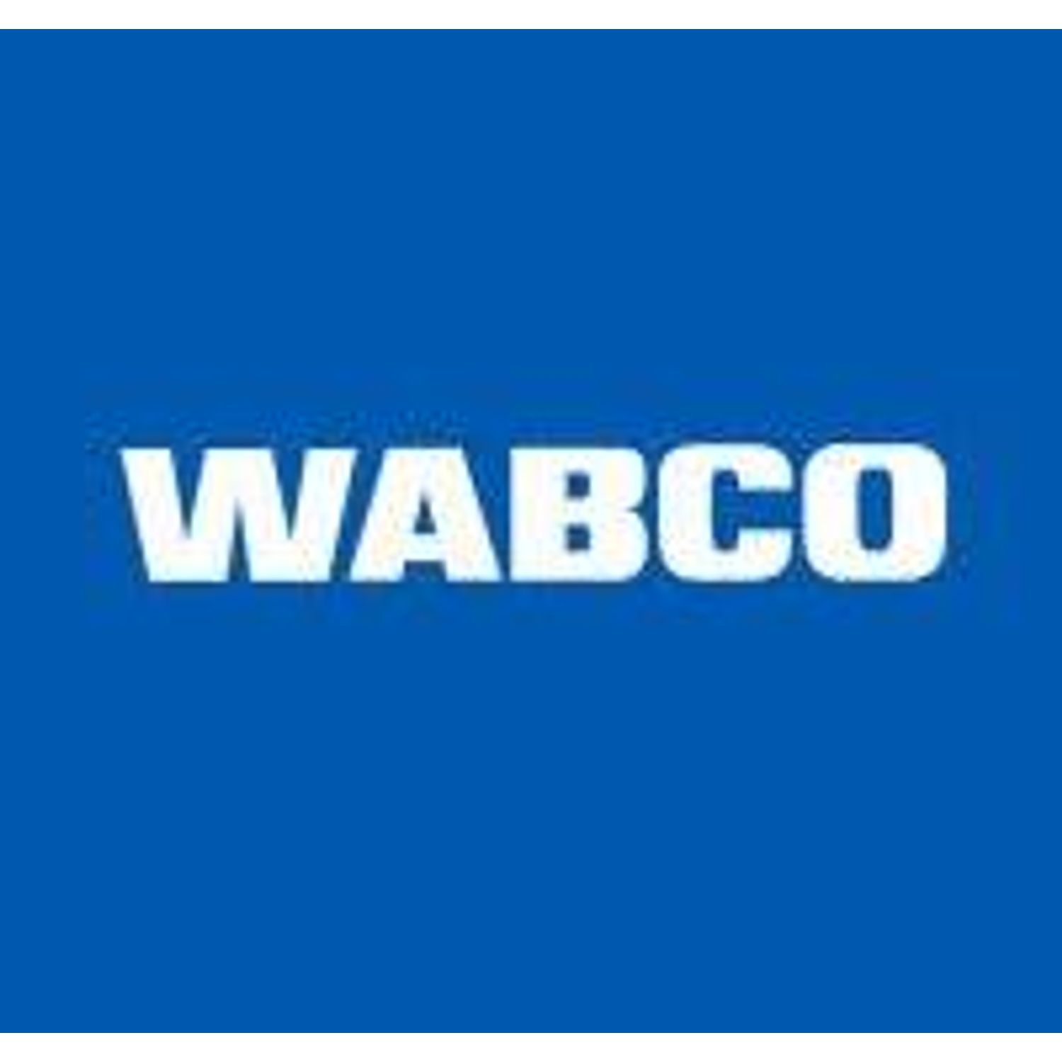 WABCO Tool Case Diagnostic