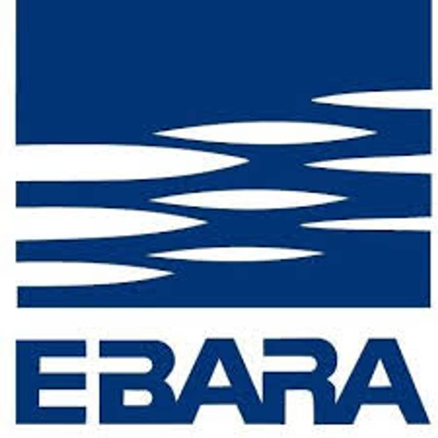 Ebara Submersible Pump Stainless Steel 1 1/4in Female Thread 1, 9A 230VAC Stainl