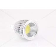 MR16 LED Bulbs
