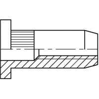 M10 Steel Large Head Knurled Rivet Nut (Box-100)