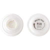 9030 Particulate Filters P3 (Pair)