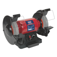 Bench Grinder 200mm Variable Speed