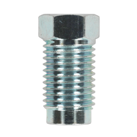 Hexagon Pipe Nuts