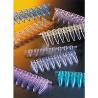 0.2mL Clear Polypropylene PCR Tubes 8 Well Strips - Pack of 300