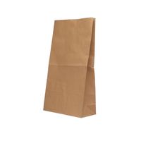 Paper Bag 215X305X387mm Brown, Pack of 125 302168