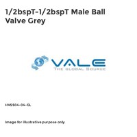 1/2bspT-1/2bspT Male Ball Valve Grey