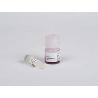 ProSieve ProTrackTM Dual Color Protein Loading Buffer 5 + 1ml