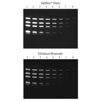 GelStar Gel Stain 10000X (2 x 250 Ul)