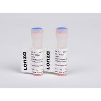 Sybr Green II Stain 10 x 50 UL