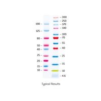 ProSieve Color Ptn Marker 100 UL