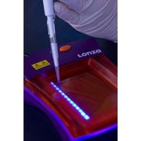 FlashGel Dna Marker 50 Bp 1 KB 500 UL