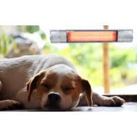 Heating for Commercial Kennels Catteries 300W - UCI-300W-PET