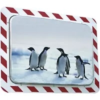Anti-frost/non-misting Rectangular Mirror Red White HxW 600 x 800 mm